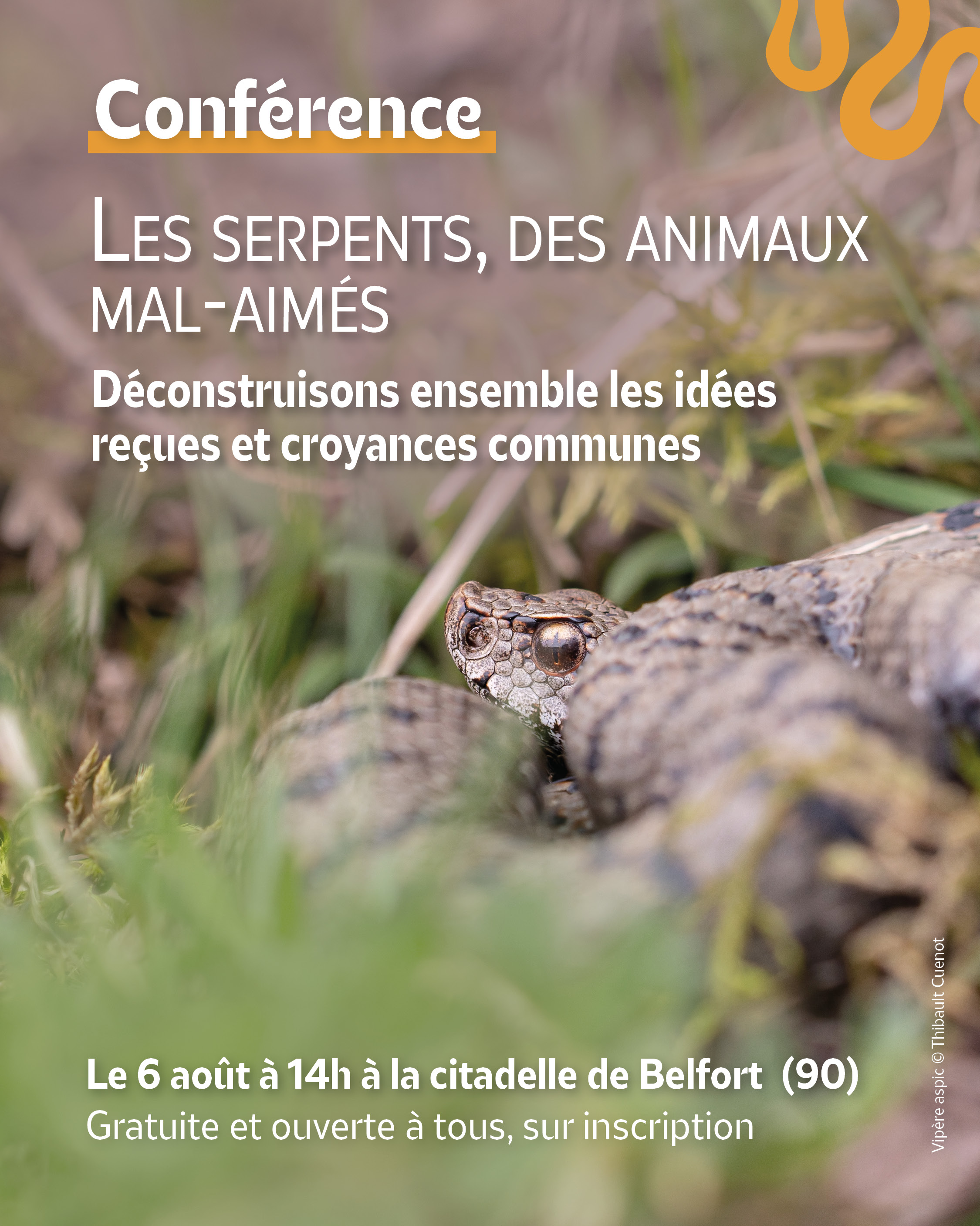 Conférence "Les serpents, des animaux mal-aimés"